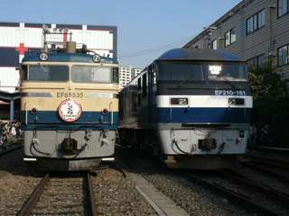 GEDC0453.jpg