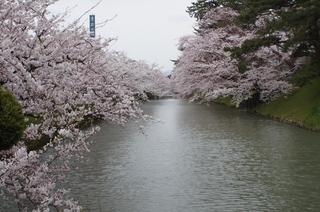 DSC01553.jpg