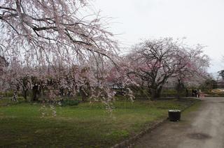 DSC01770.jpg