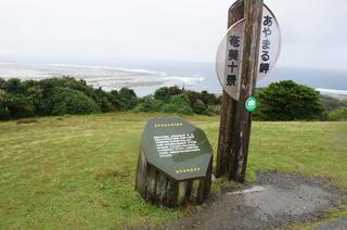 DSC02224.jpg