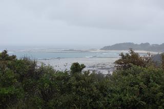 DSC02228.jpg