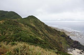 DSC02239.jpg