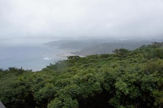 DSC02259.jpg