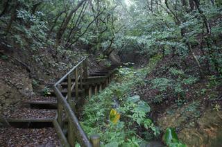 DSC02261.jpg
