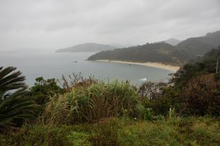 DSC02321.jpg