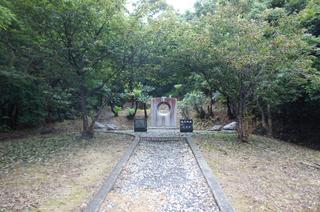 DSC02442.jpg