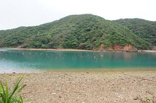 DSC02466.jpg