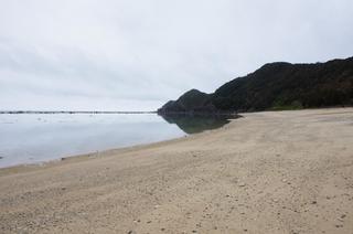 DSC02485.jpg