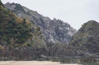 DSC02487.jpg