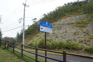 DSC02579.jpg