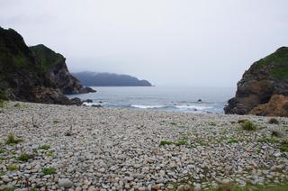DSC02582.jpg