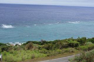 DSC02632.jpg