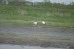 DSC07811.jpg
