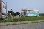 DSC07834.jpg
