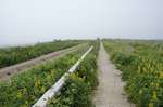 DSC07845.jpg