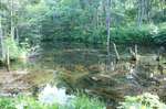 DSC07939.jpg