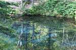 DSC07952.jpg