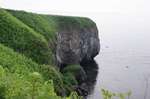 DSC07976.jpg