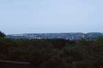 DSC07994.jpg