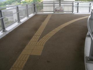 GEDC0272.jpg