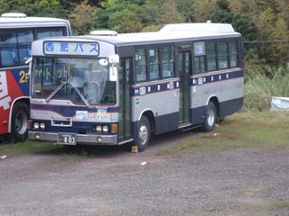 GEDC0355.jpg