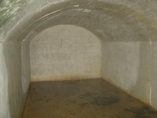 GEDC1136.jpg