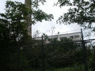 GEDC1437.jpg