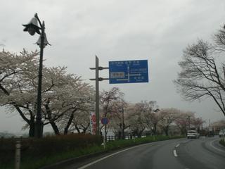 GEDC2408.jpg