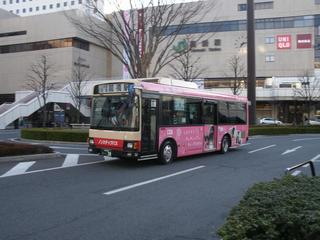 GEDC2449.jpg