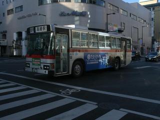 GEDC2464.jpg