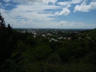 PB031764.jpg